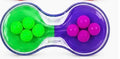 Gel Bead Sensory Strip