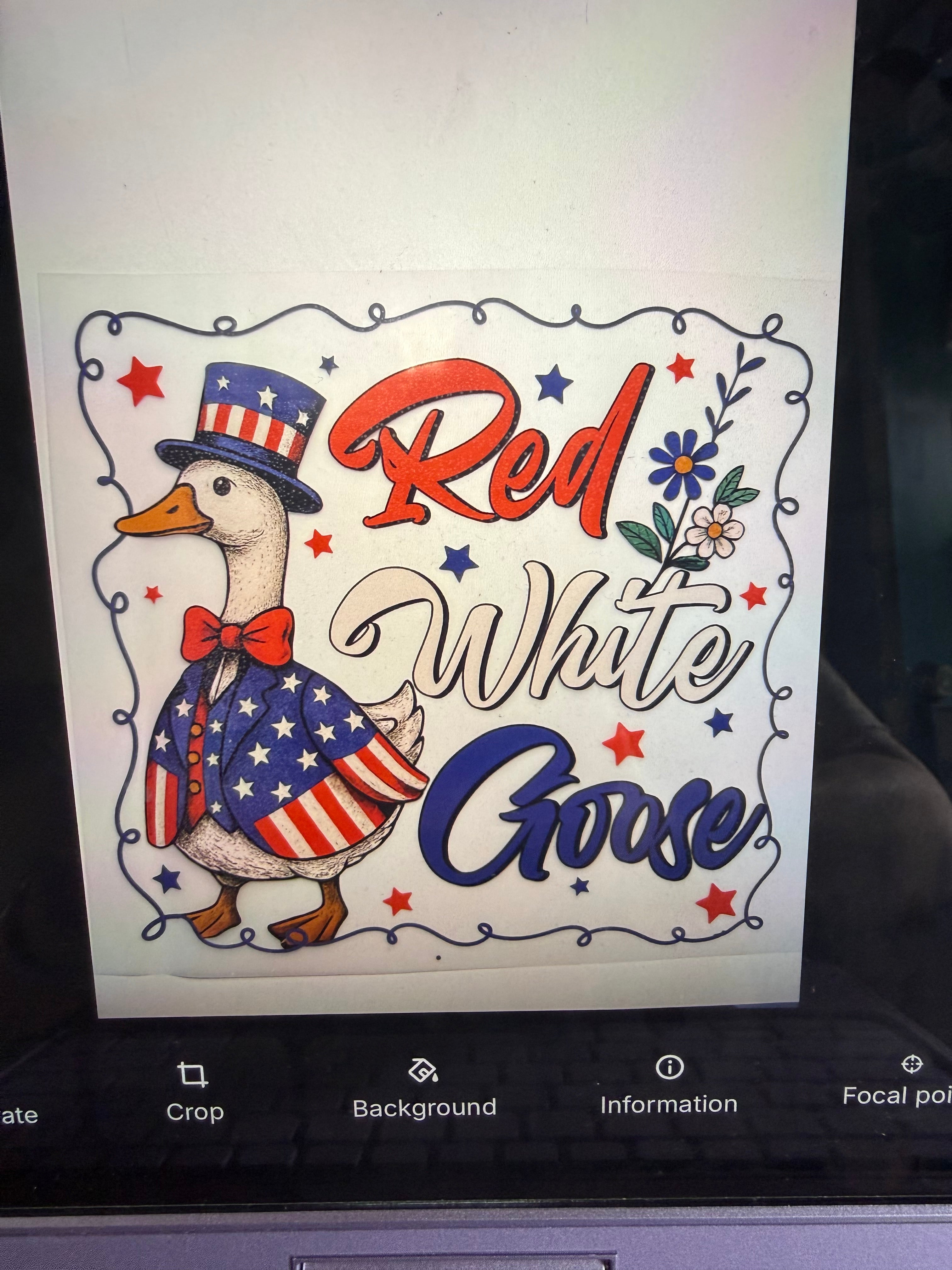 4th of July DFT Print