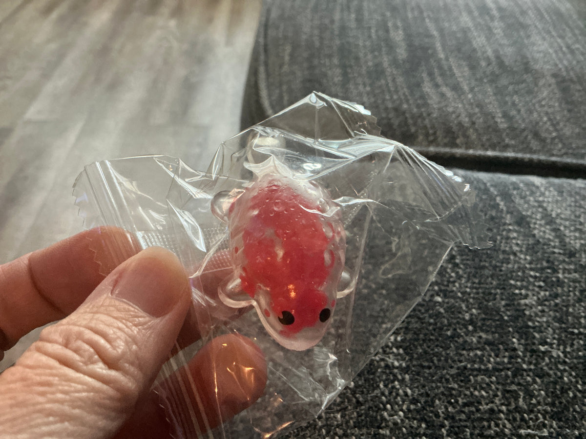 Squishy Animals